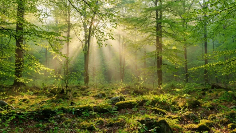 Prayer for Strength and Healing Together