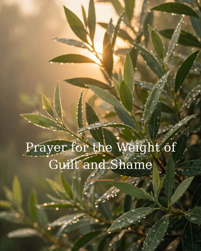 Prayer for the Weight of Guilt and Shame