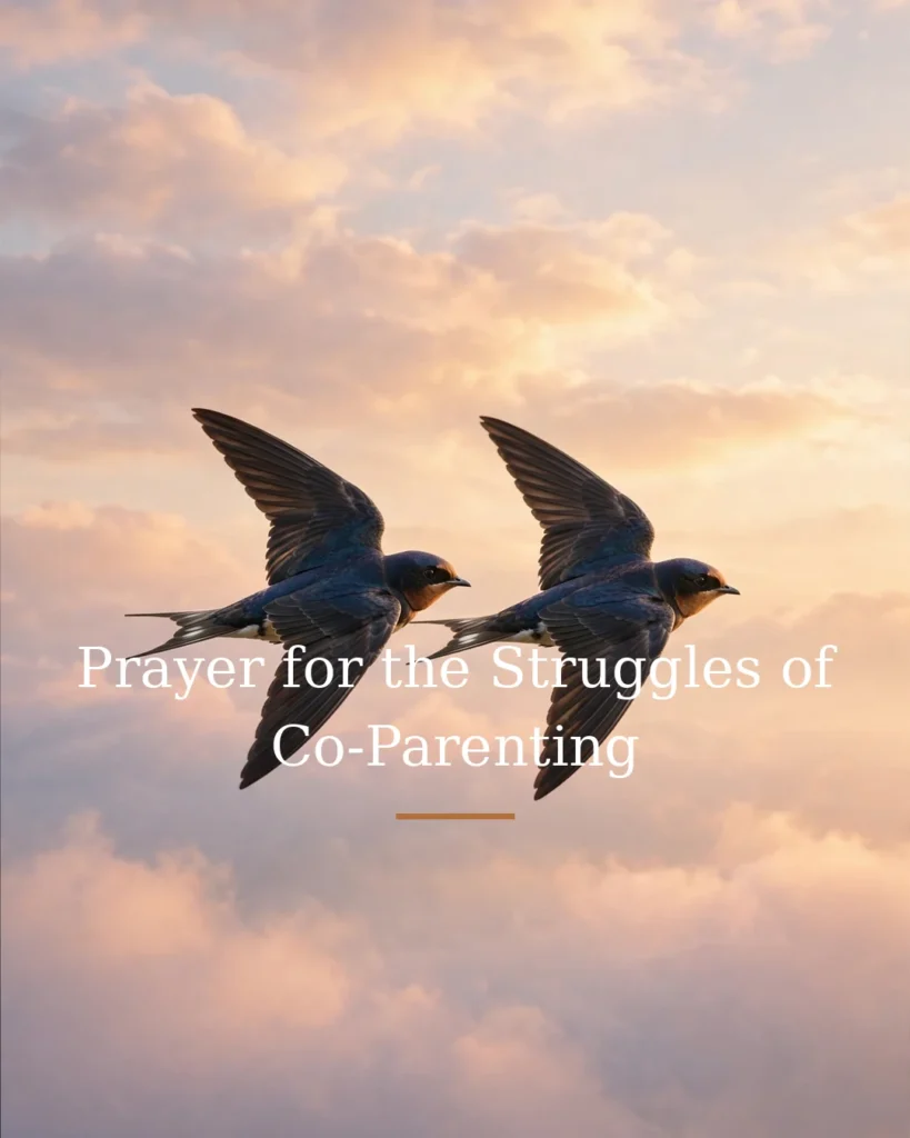 Prayer for the Struggles of Co-Parenting